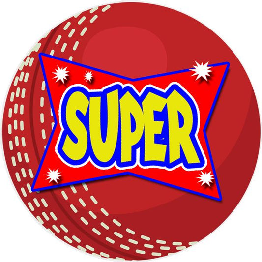 144 Cricket Praise Words 30mm Reward Stickers for Teachers, Parents and Party Bags
