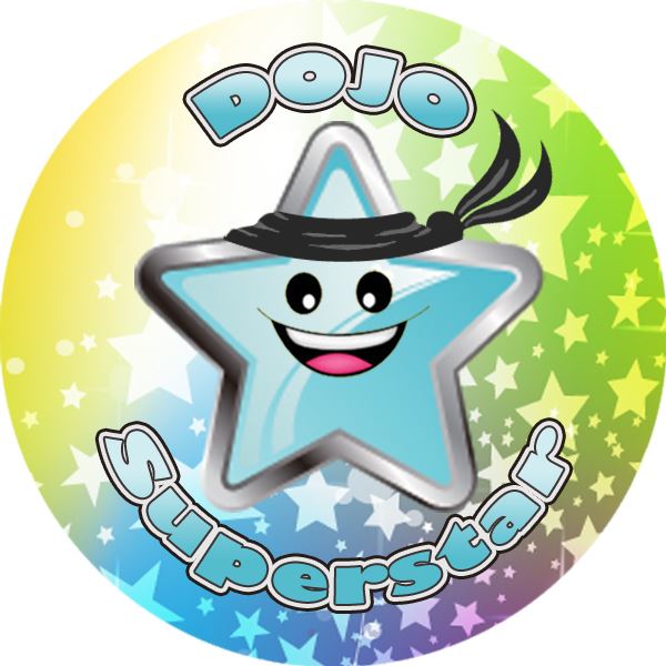 144 Dojo Superstar 30mm Reward Stickers for Teachers, Parents and Party Bags
