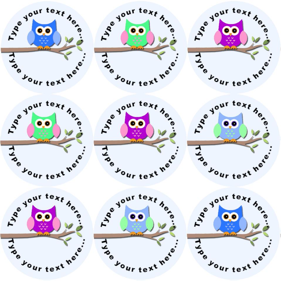 144 Colourful Owls Personalised 30mm Reward Stickers for School Teachers, Parents and Nursery