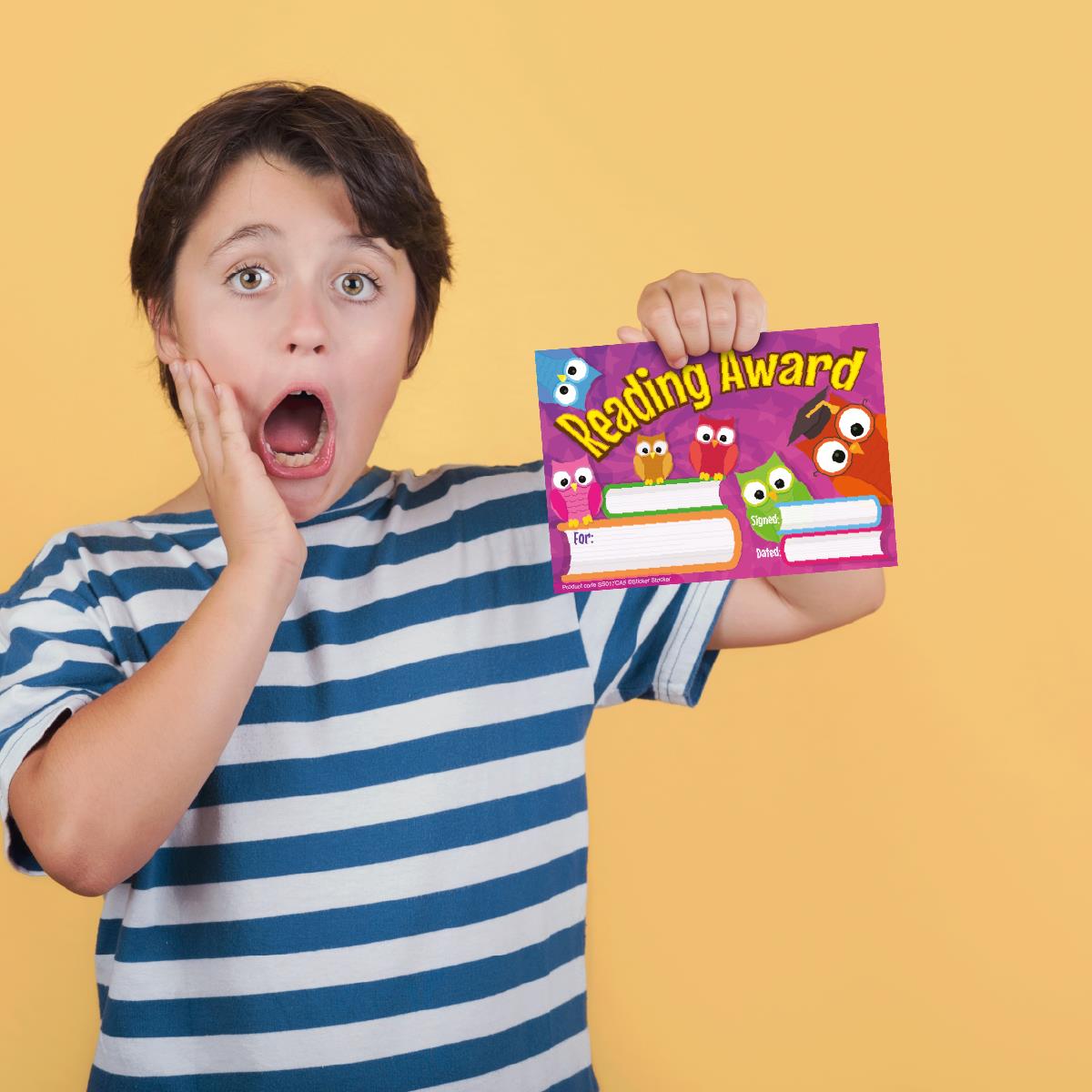 30 Reading Owls Award certificates for school teachers, 250gsm A5 silk finish card