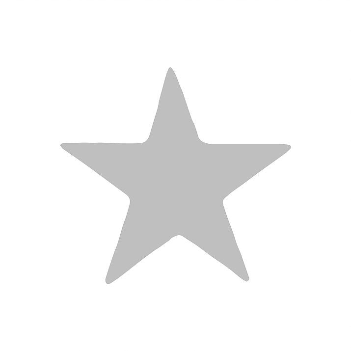 Silver Star - Self inking teacher reward xstamper xclamations stamp