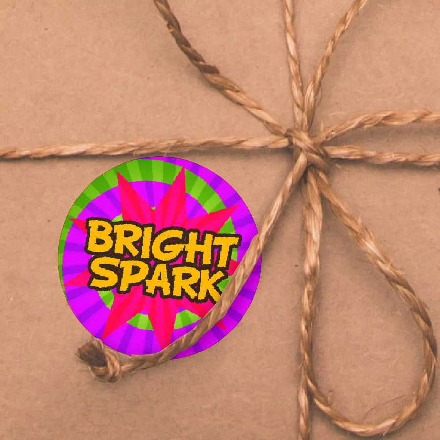 Sticker Stocker - 144 Positive Praise Words - 30mm - Glossy Reward Stickers for Teachers & Parents