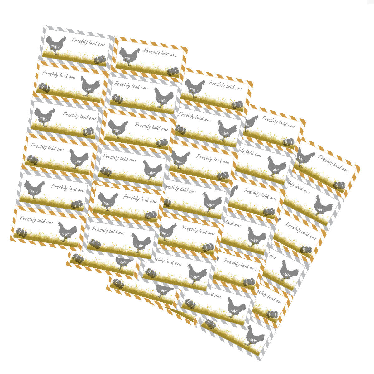 72 Freshly Laid Eggs Labels, Chicken Hen Farming Eggbox Sticker 60mm x 28mm