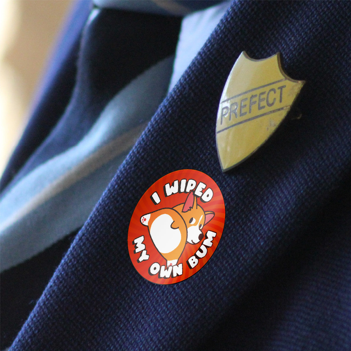 144 Pre School/Early Years Variety Pack 30 mm Reward Stickers for Teachers and Parents