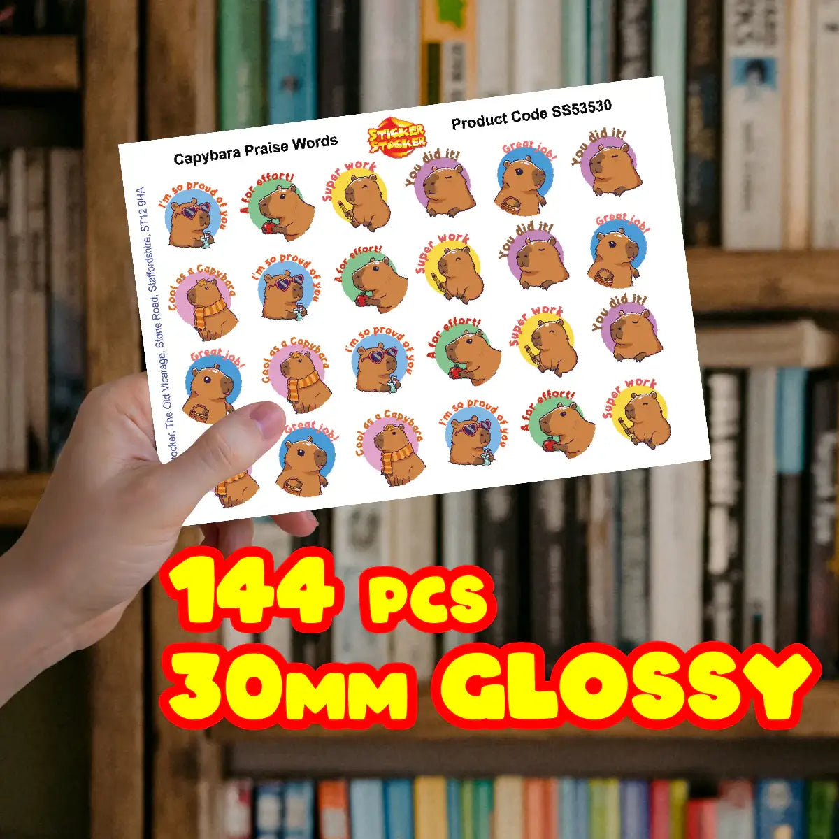 144 Capybara Praise Words 30mm Reward Stickers for Schools, Teachers and Parents