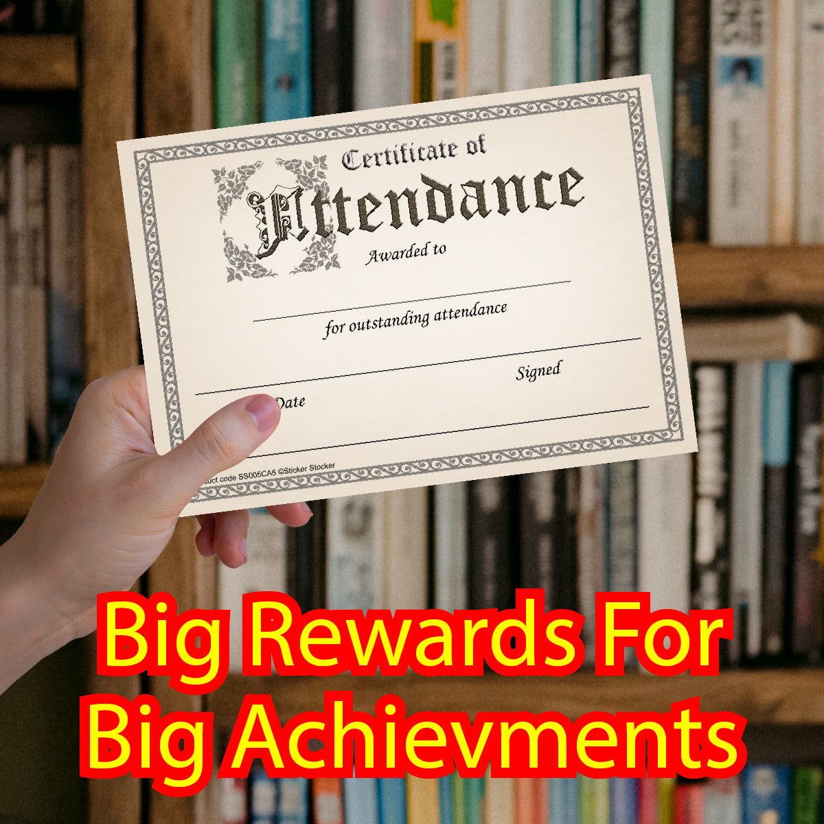 Sticker Stocker 30 Certificate of Attendance award certificates for school teachers, 250gsm A5 silk finish card