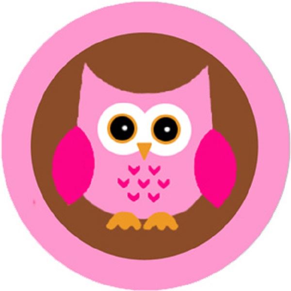144 Pink Owl 30mm Round Children's Reward Stickers for Teachers, Parents and Party Bags