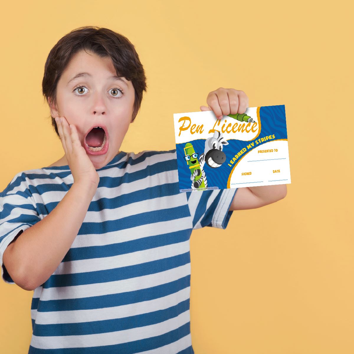 30 Pen Licence certificates for school teachers, 250gsm A5 silk finish card