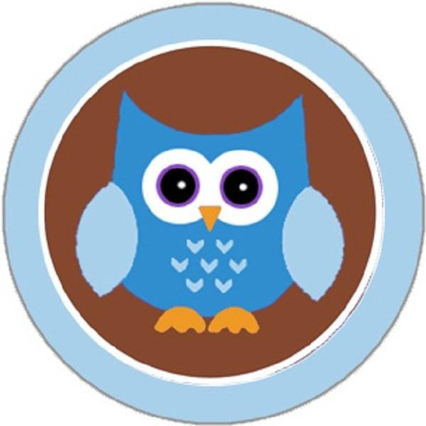 Sticker Stocker 144 Blue Owl 30mm Round Childrens Reward Stickers for Teachers, Parents and Party Bags