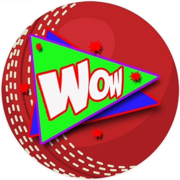 Sticker Stocker 144 Cricket Praise Words 30mm Reward Stickers for Teachers, Parents and Party Bags