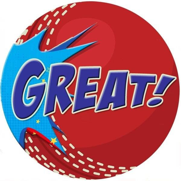 Sticker Stocker 144 Cricket Praise Words 30mm Reward Stickers for Teachers, Parents and Party Bags
