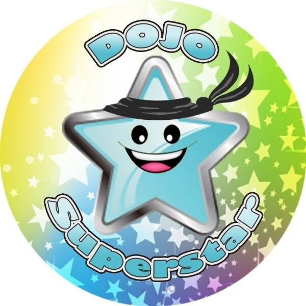 Sticker Stocker 144 Dojo Superstar 30 mm Reward Stickers for Teachers, Parents and Party Bags