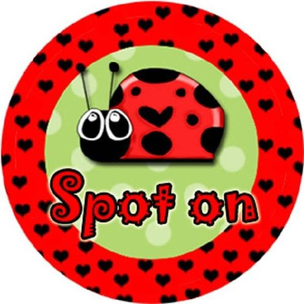 Sticker Stocker 144 Lovely Ladybirds 30mm Round Childrens Bug Reward Stickers - Teachers or Parents