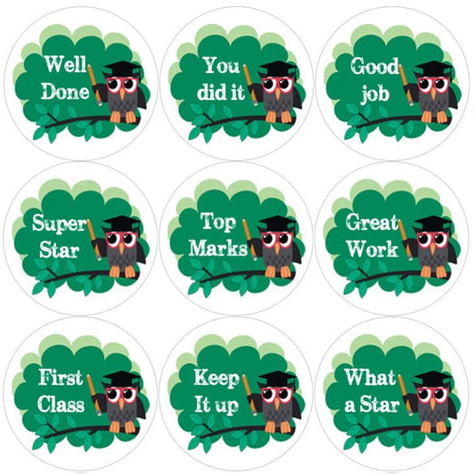Sticker Stocker 144 Owl Teacher 30mm Round Childrens Reward Stickers - Teachers or Parents