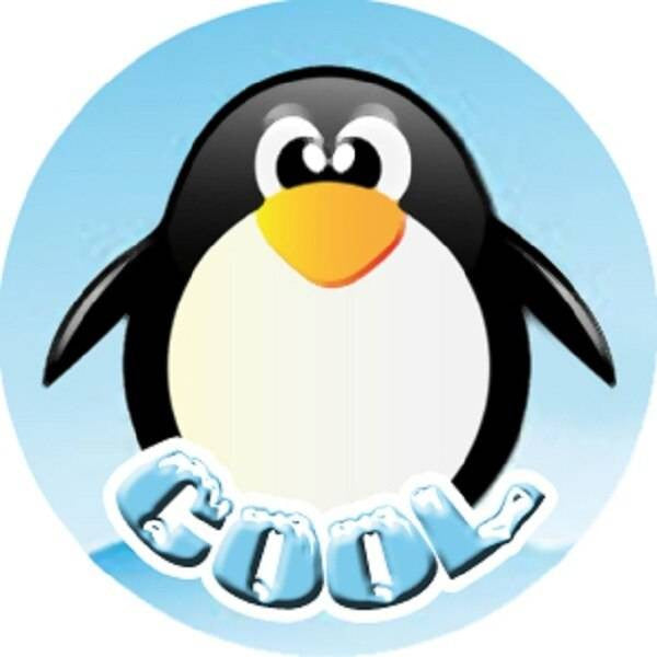 Sticker Stocker 144 Penguin Fun Praise Words 30mm Reward Stickers for Teachers, Parents and Party Bags