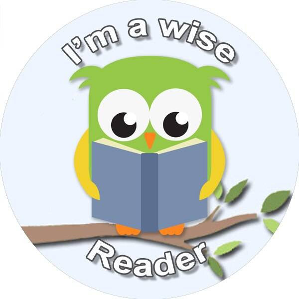 Sticker Stocker 144 Reading Owls 30 mm Reward Stickers for School Teachers, Parents and Nursery