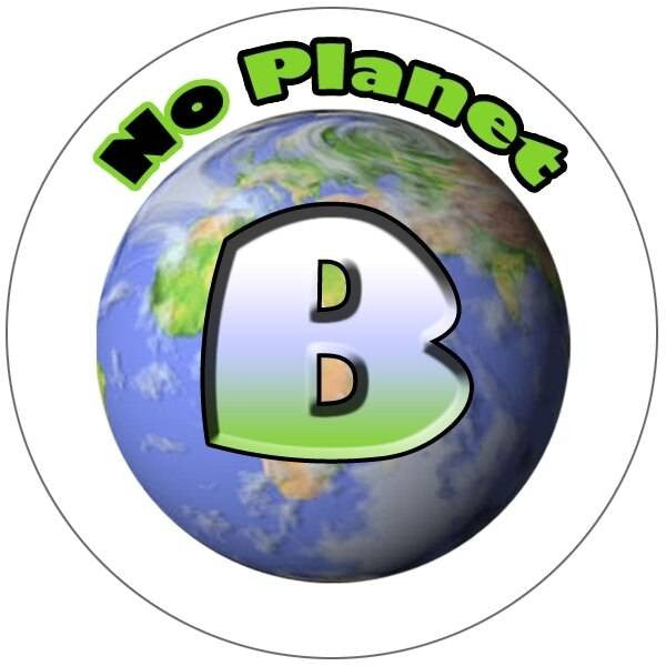 Sticker Stocker 144 There is no Planet B 30mm Reward Stickers for School Teachers, Parents and Nursery
