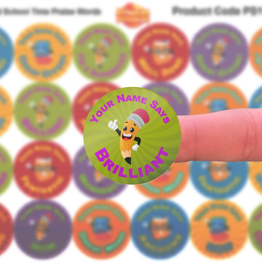 144 Personalised School Time Praise Words 30mm Reward Stickers for School Teachers, Parents and Nursery