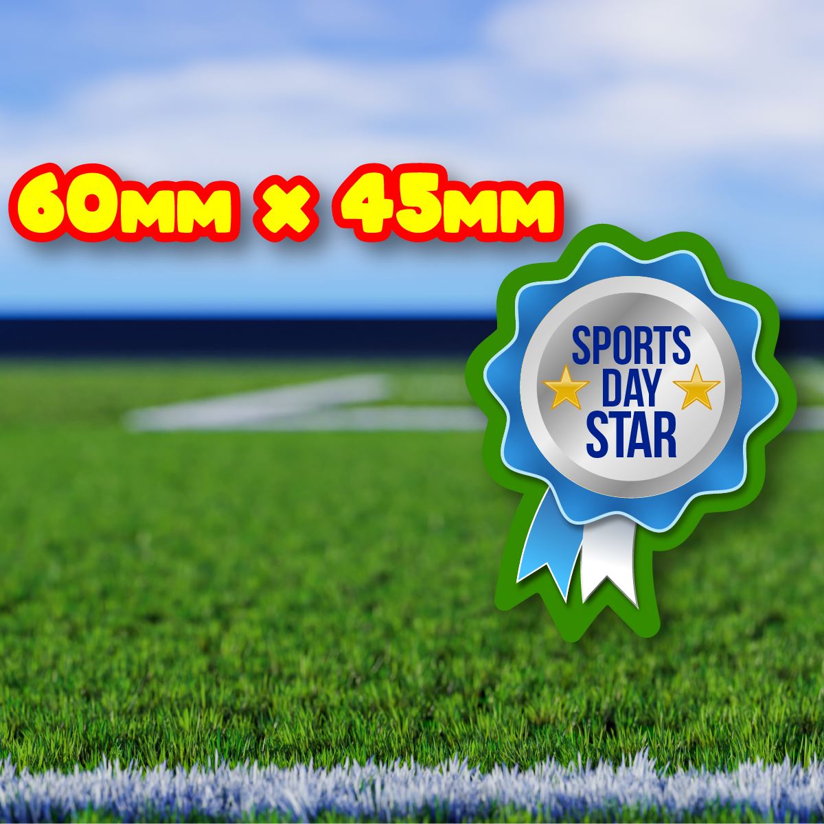 54 Sports Day Rosette Shaped Reward Stickers for Teachers, Parents and Schools