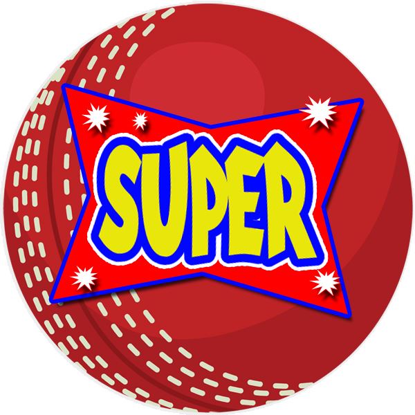 144 Cricket Praise Words 30mm Reward Stickers for Teachers, Parents and Party Bags