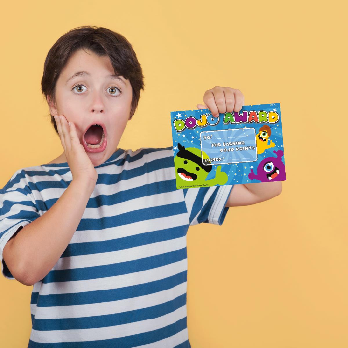 30 Dojo award certificates for school teachers, 250gsm A5 silk finish card