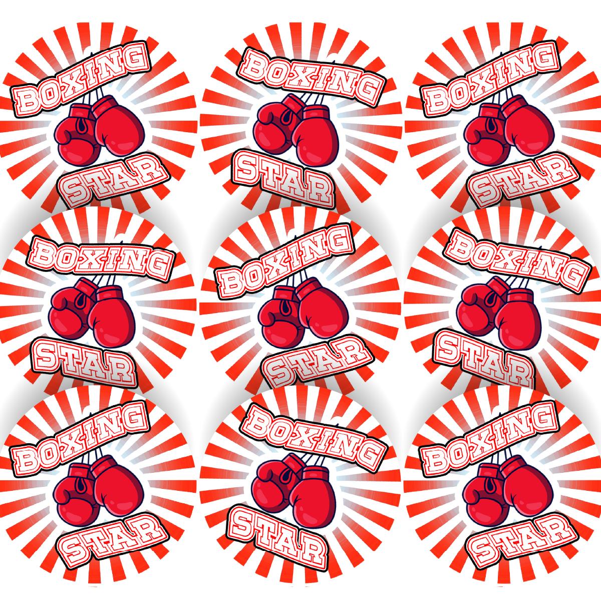 144 Boxing Star  - 30mm - Glossy Reward Stickers for Teachers, Parents, School