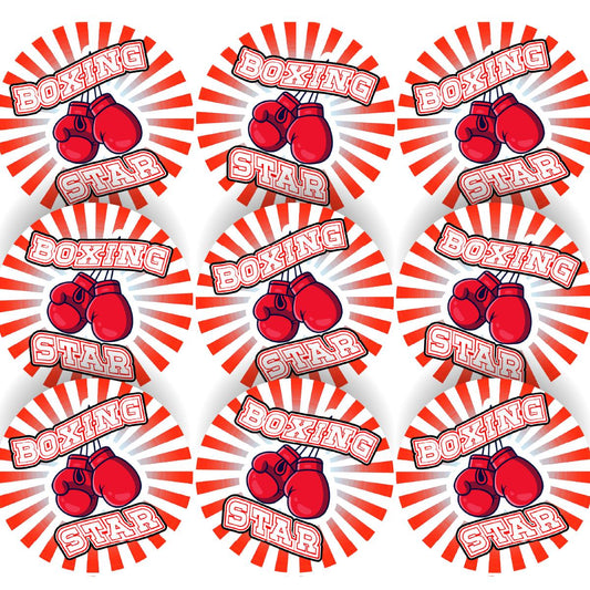 144 Boxing Star  - 30mm - Glossy Reward Stickers for Teachers, Parents, School