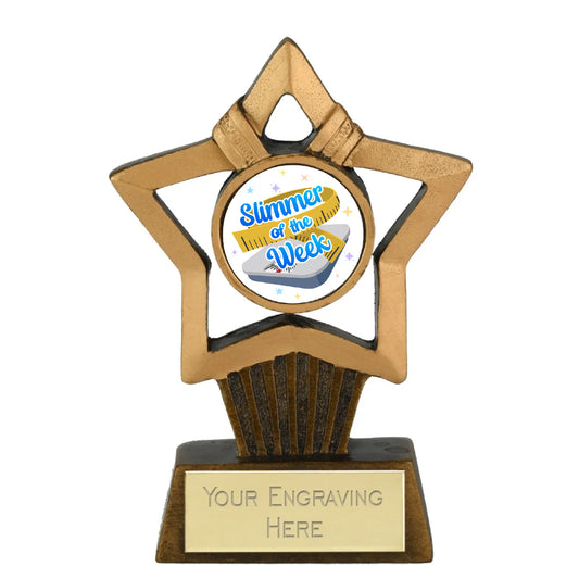 Mini Star Plus Slimmer of the Week Gold Star Award Trophy 10cm Resin FREE engraving and Certificate