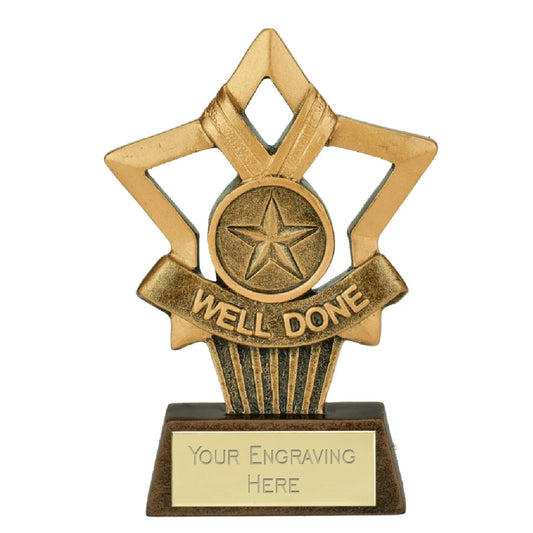 Sticker Stocker - Mini Star Plus Well Done Award Trophy 10cm Resin FREE engraving and Certificate