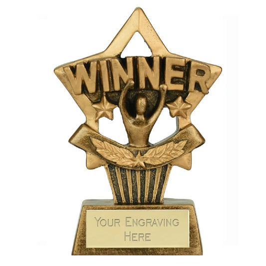 Sticker Stocker - Mini Star Plus Winner Award Trophy 10cm Resin FREE engraving and Certificate