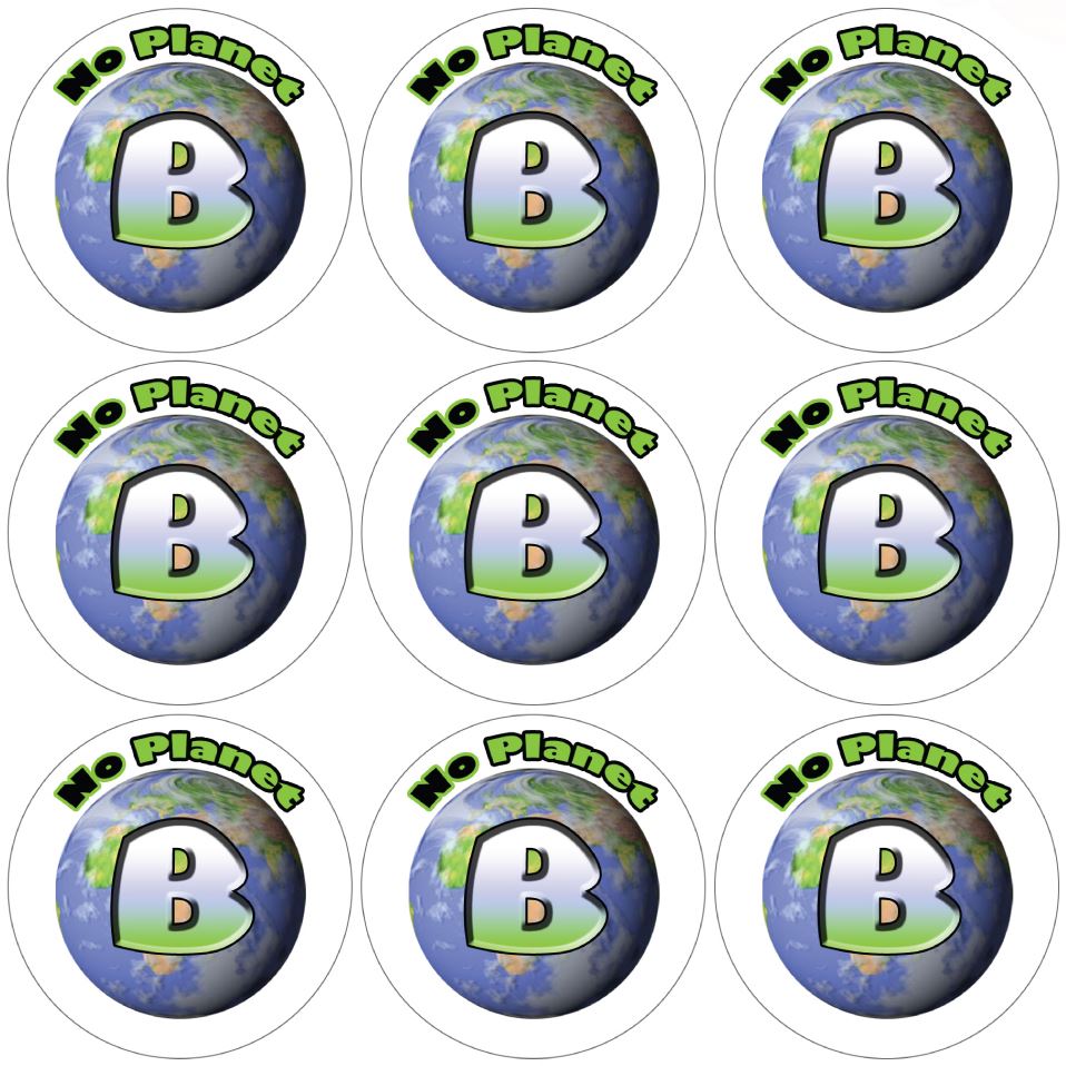 144 There is no Planet B 30mm Reward Stickers for School Teachers, Parents and Nursery