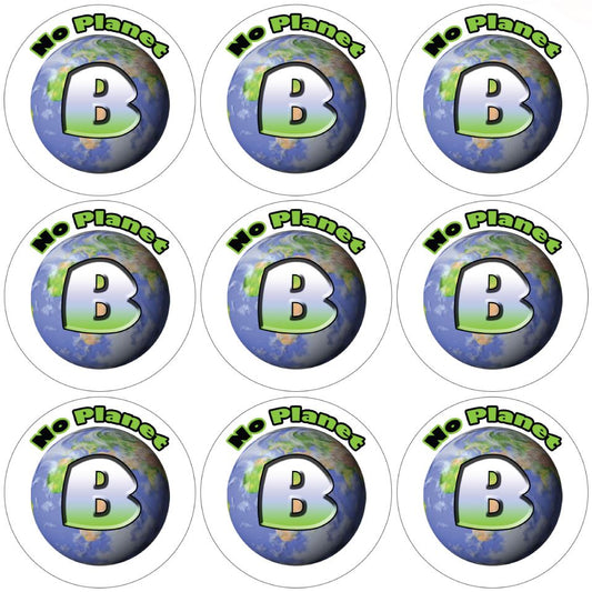144 There is no Planet B 30mm Reward Stickers for School Teachers, Parents and Nursery