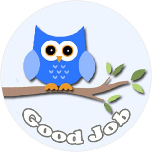 144 Owl Branch Praise Words 30mm Round Children's Reward Stickers for Teachers or Parents