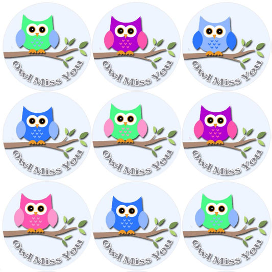 144 Owl Miss You - End of Term Year School Leavers Teacher Reward Stickers Size 30mm