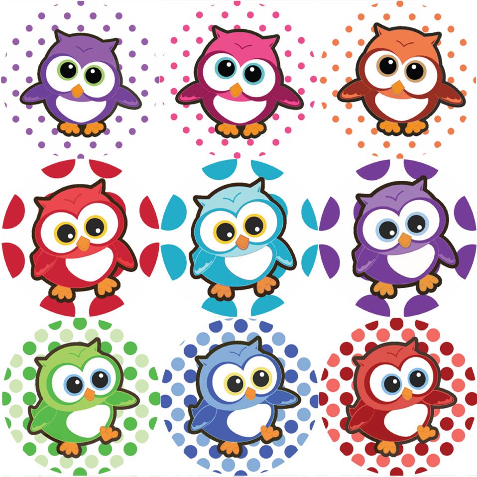 144 Adorable Owls 30mm Children's Reward Stickers for Teachers or Parents