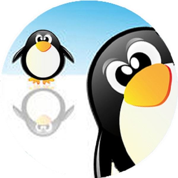 144 Penguin Fun 30mm Round Children's Reward Stickers - Teachers or Parents