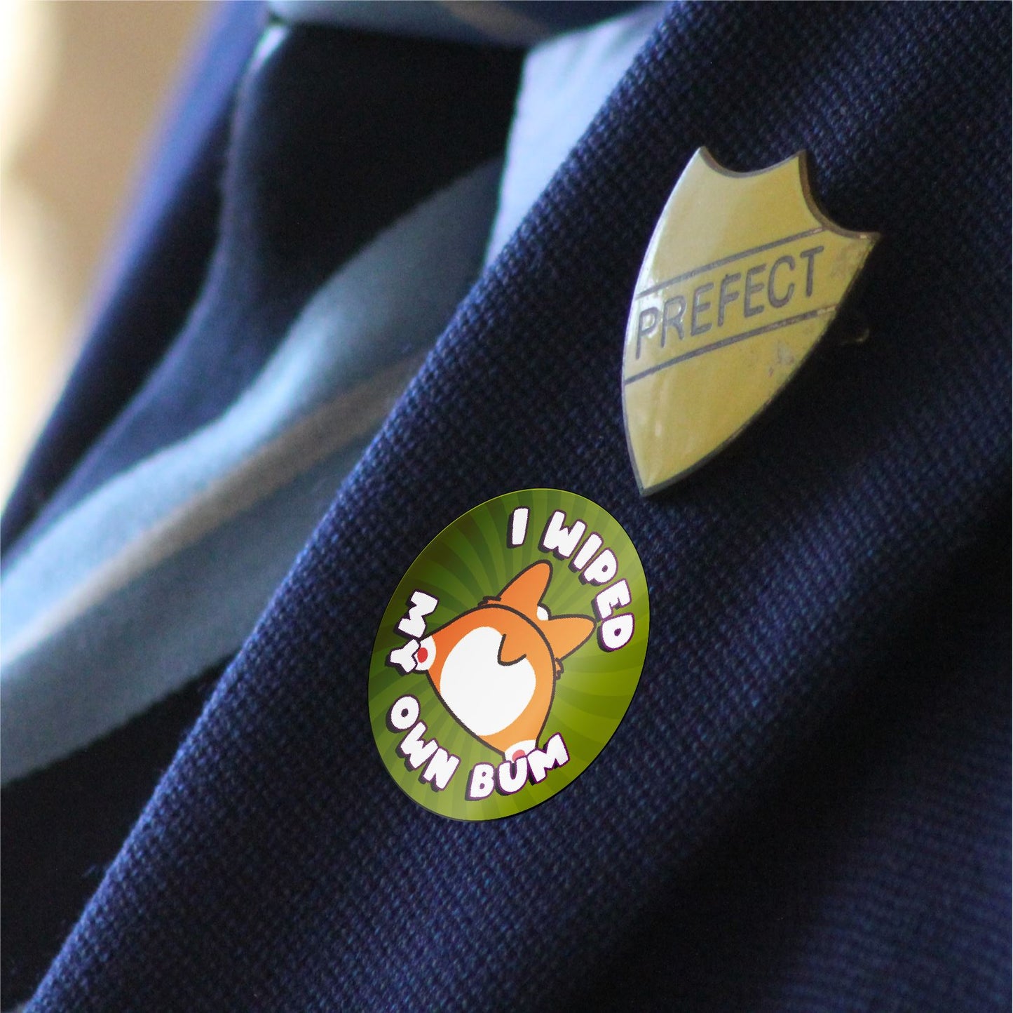 144 I Wiped My Own Bum Reward Stickers 30mm Toddler Training Reward Stickers for Teachers or Parents
