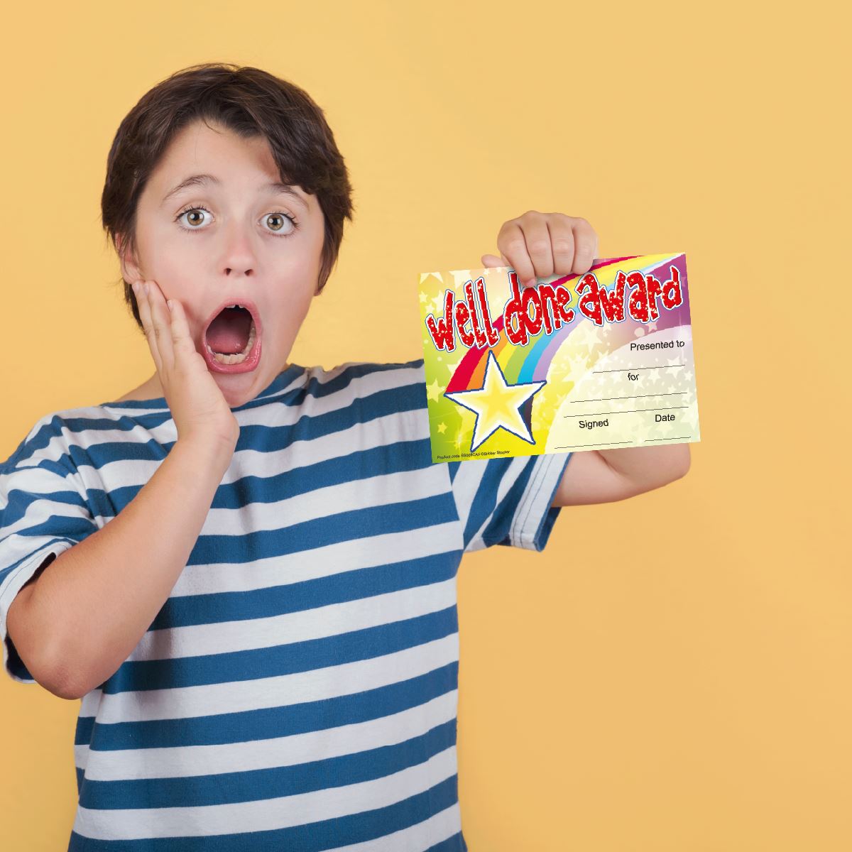 30 Well Done Award certificates for school teachers, 250gsm A5 silk finish card