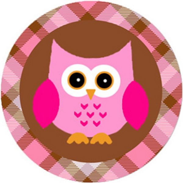 144 Pink Owl 30mm Round Children's Reward Stickers for Teachers, Parents and Party Bags