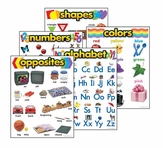 Basic Skills Combo -5 Durable Reusable School Classroom posters