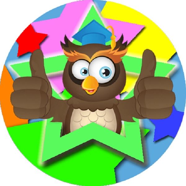 144 Bright Owl Star 30mm Round Children's Reward Stickers for Teachers, Parents and Party Bags