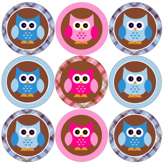 144 Pink and Blue Owl 30mm Round Children's Reward Stickers for Teachers, Parents and Party Bags