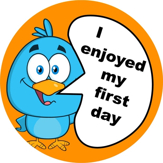 144 I Enjoyed My First Day 30mm Introduction Stickers for Teachers and groups