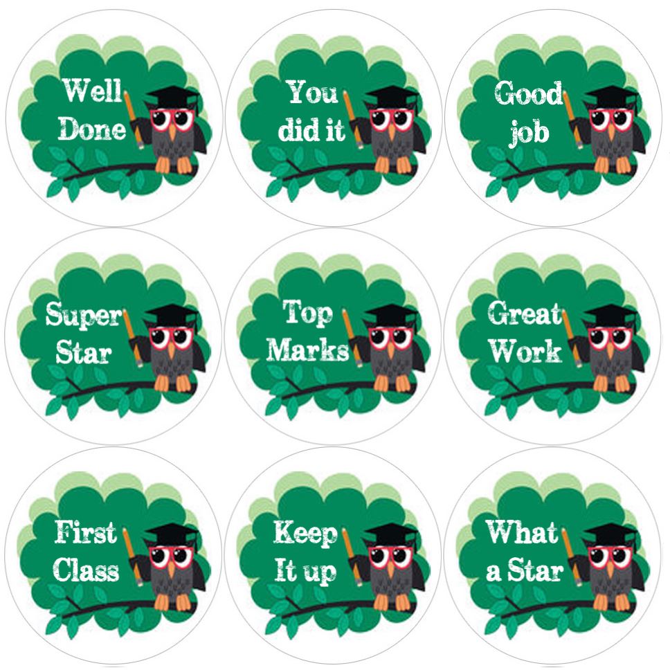 144 Owl Teacher 30mm Round Children's Reward Stickers - Teachers or Parents