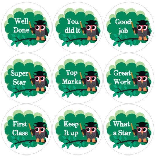 144 Owl Teacher 30mm Round Children's Reward Stickers - Teachers or Parents