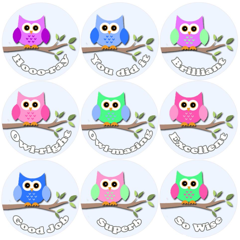 144 Owl Branch Praise Words 30mm Round Children's Reward Stickers for Teachers or Parents