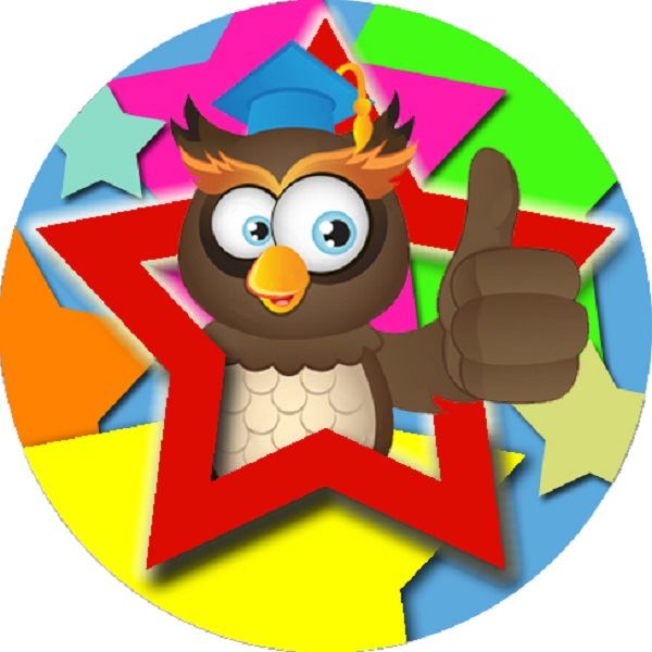 144 Bright Owl Star 30mm Round Children's Reward Stickers for Teachers, Parents and Party Bags