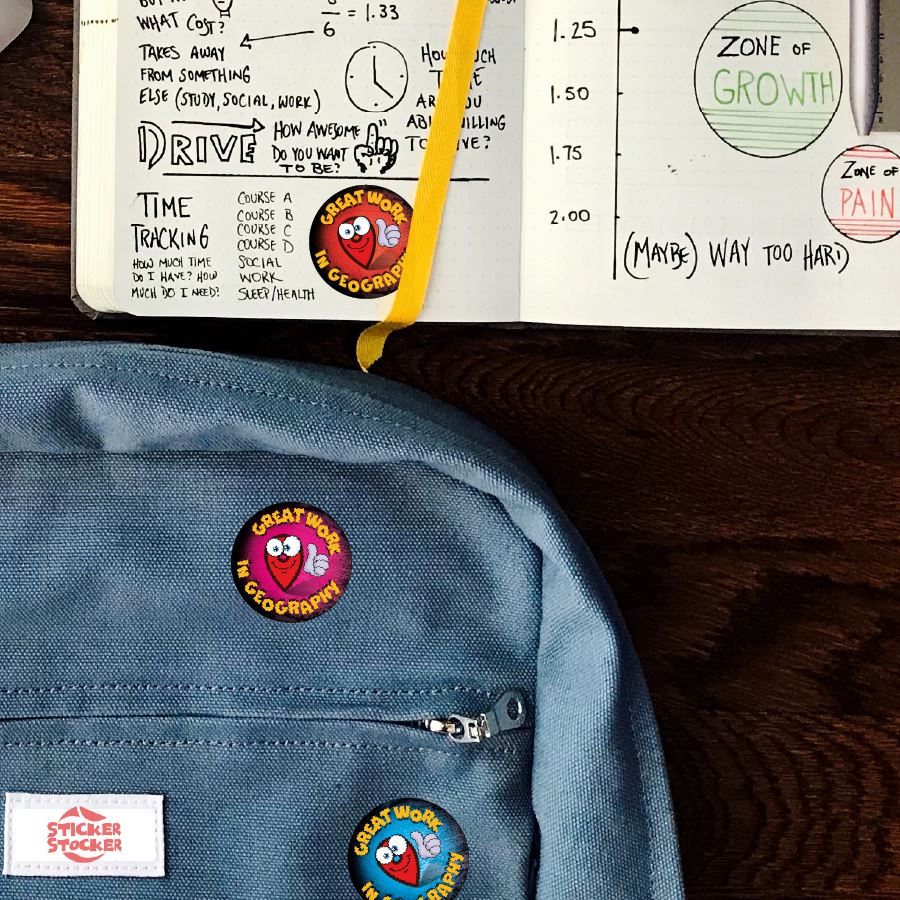 144 Great Work In Geography - 30mm - Glossy Reward Stickers for Teachers & Parents