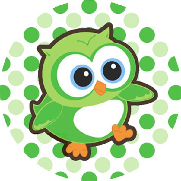 144 Adorable Owls 30mm Children's Reward Stickers for Teachers or Parents