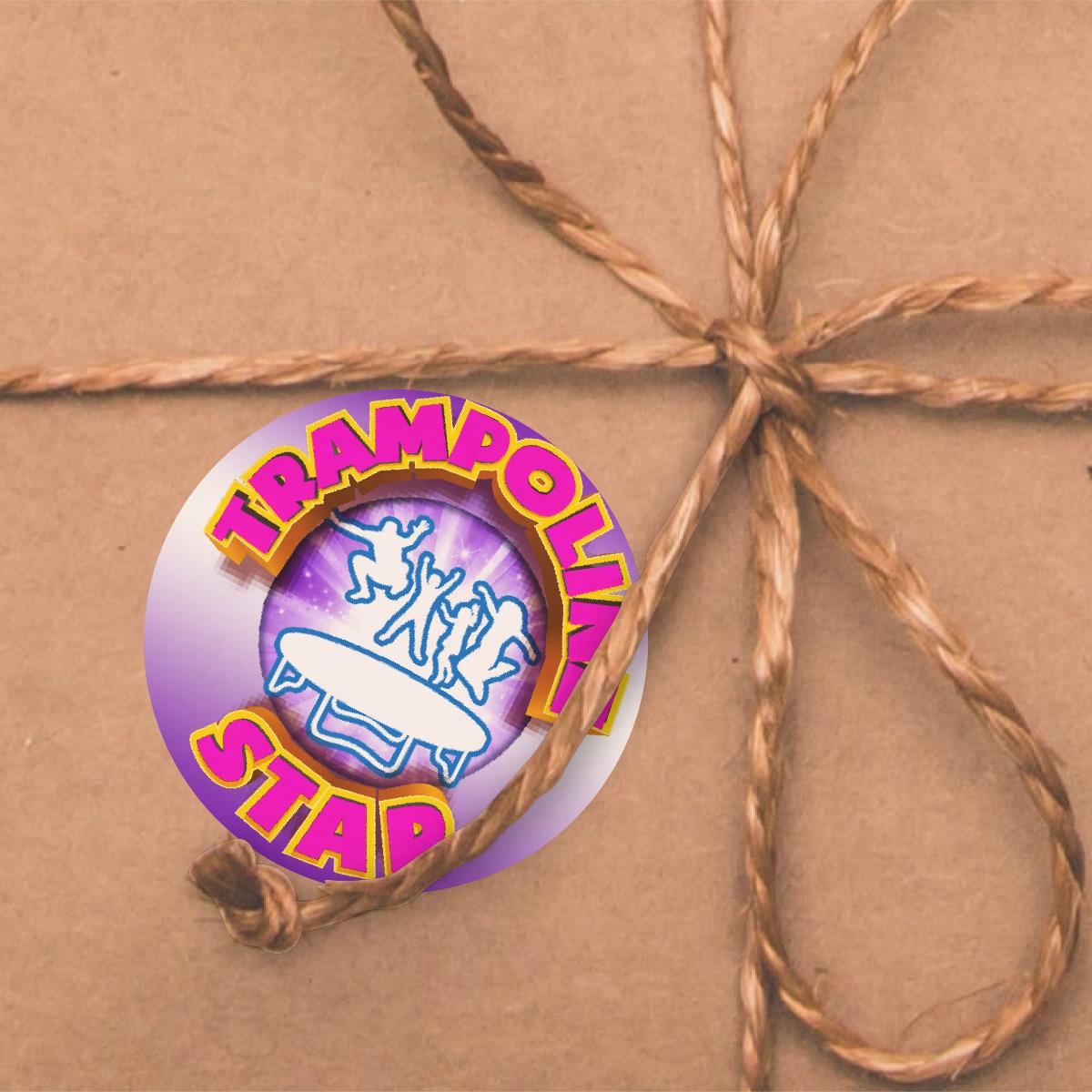 144 Trampoline Star 30mm Reward Stickers for School Teachers, Parents and Nursery